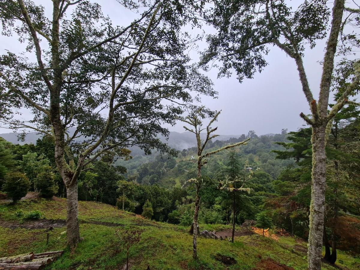 Las Bromelias Lodge Paso Macho Екстер'єр фото