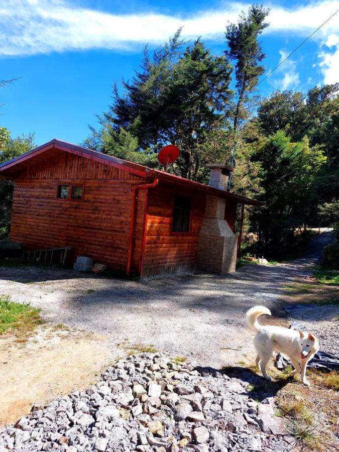 Las Bromelias Lodge Paso Macho Екстер'єр фото